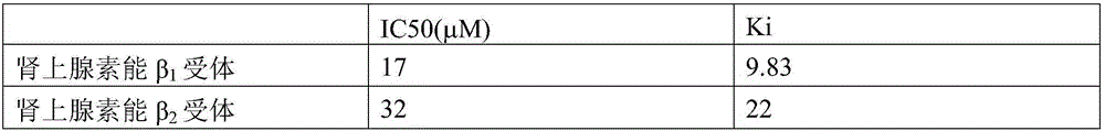 Novel DPP-IV inhibitors