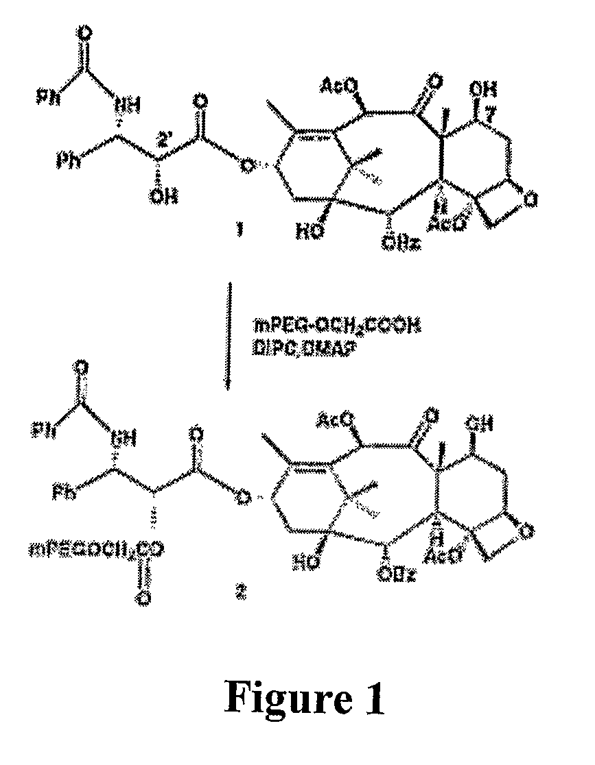 Particulate Constructs For Release of Active Agents