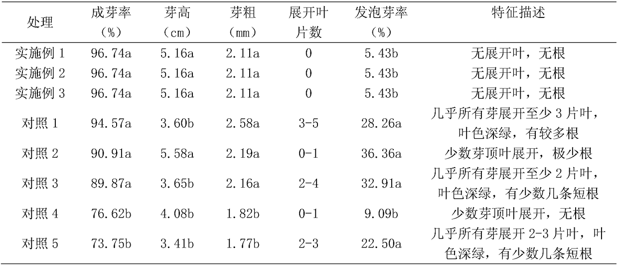 A kind of high-temperature and dark culture tissue culture rapid propagation method of powder banana