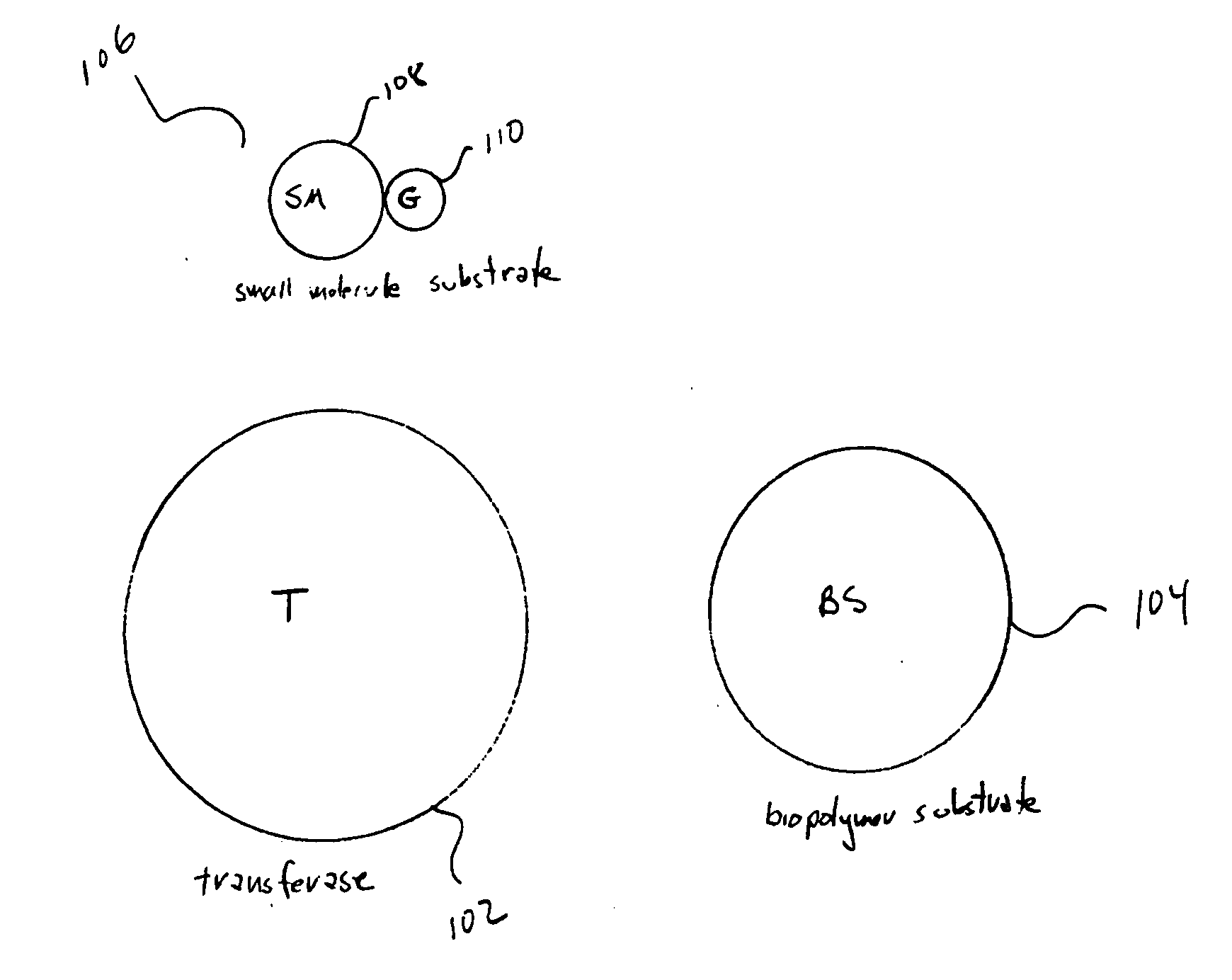 Method and system for assaying transferase activity