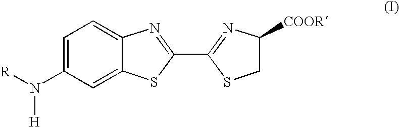 Bioluminescent protease assay