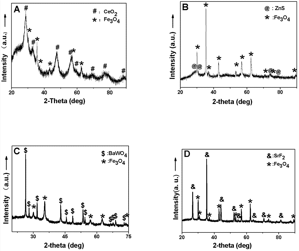 Magnetic nanocomposite and preparation method thereof