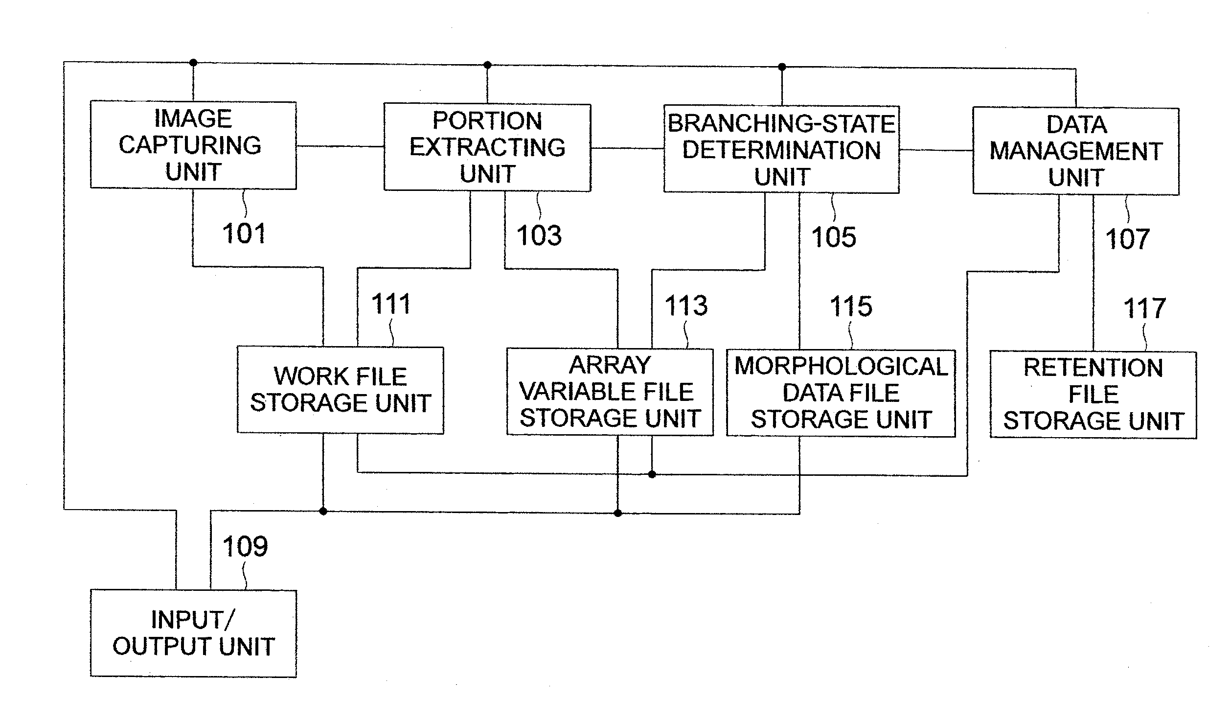 Method and apparatus for analyzing panicle structure