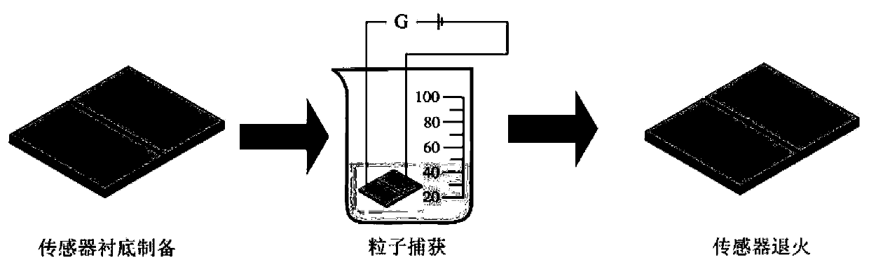 Single particle sensitive gas sensor and preparation method and application thereof