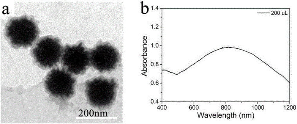 Polydopamine-coated nanometer composite photothermal reagent and preparation method thereof