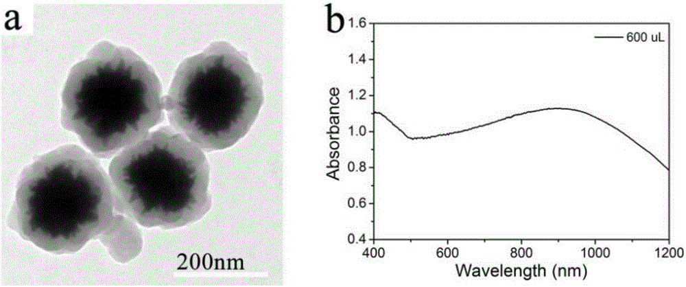 Polydopamine-coated nanometer composite photothermal reagent and preparation method thereof