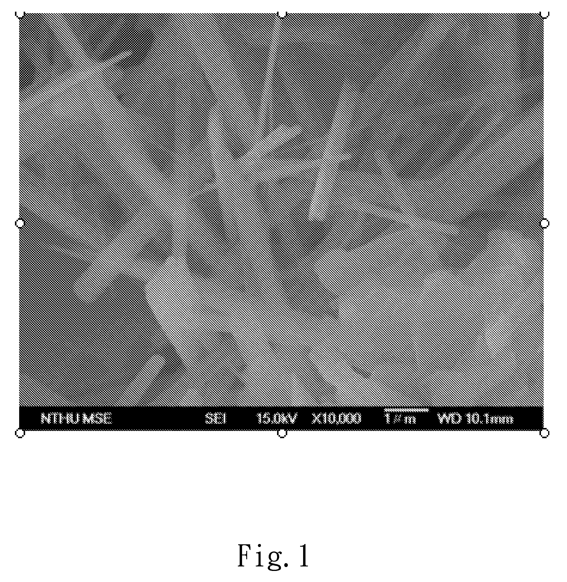 Oil Extractor and The Preparation Method Thereof