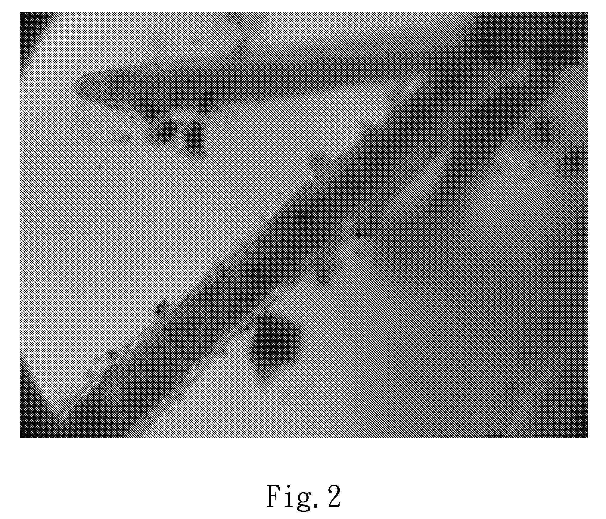 Oil Extractor and The Preparation Method Thereof