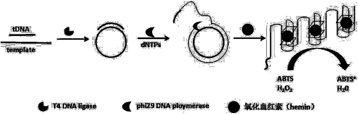 Method for visually detecting genetically modified foods