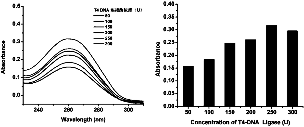 Method for visually detecting genetically modified foods