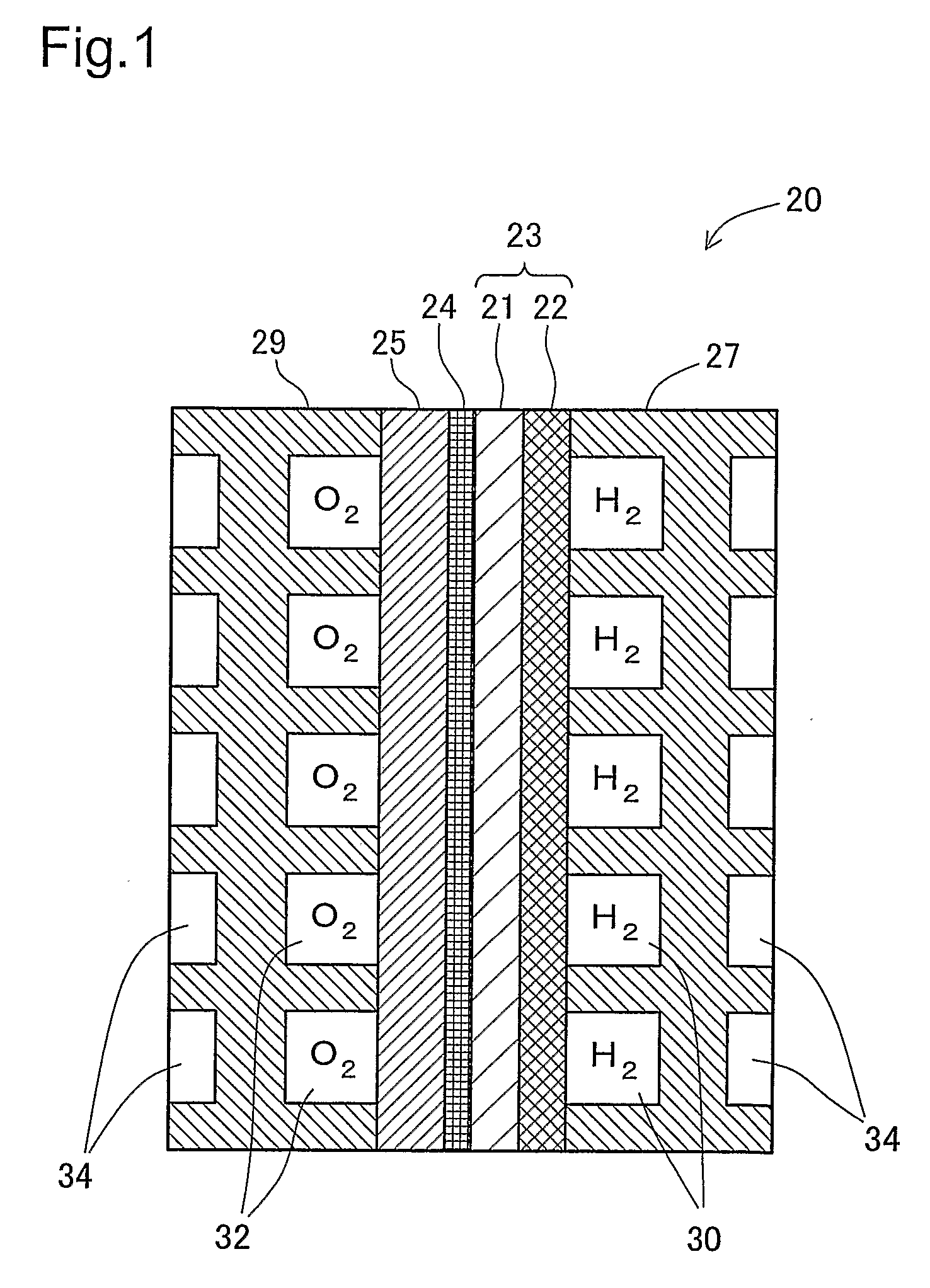 Fuel Cell