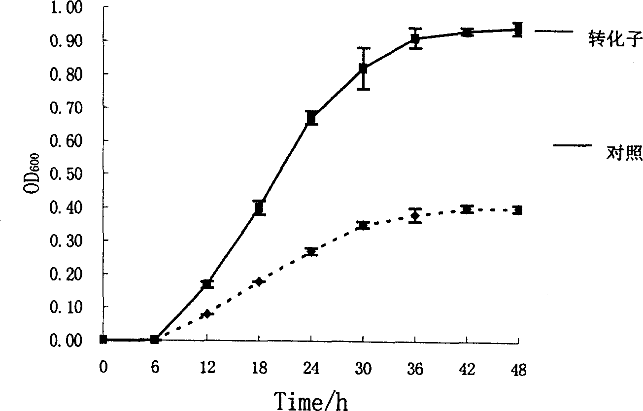 Pseudomonas Na+/H+ antiporter protein gene and its cloning process