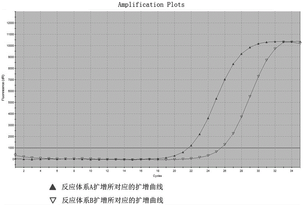 C-kit gene polymorphism detection primer system and kit thereof