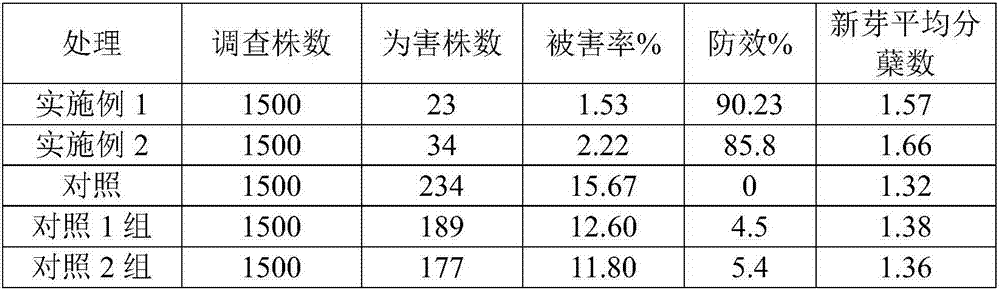 Fertilizer special for bletilla tissue culture seedling domestication for preventing and controlling underground insect attack, preparation method and application thereof