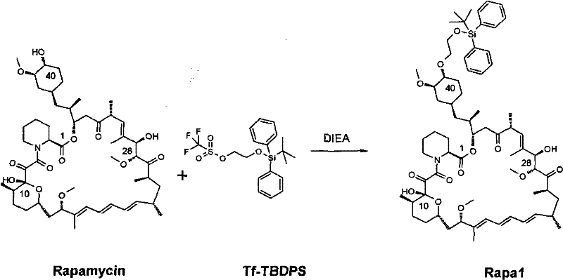 Preparation of Everolimus