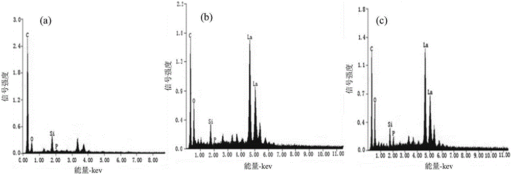 A kind of preparation method for purifying phosphorus-polluted water-loaded lanthanum biochar