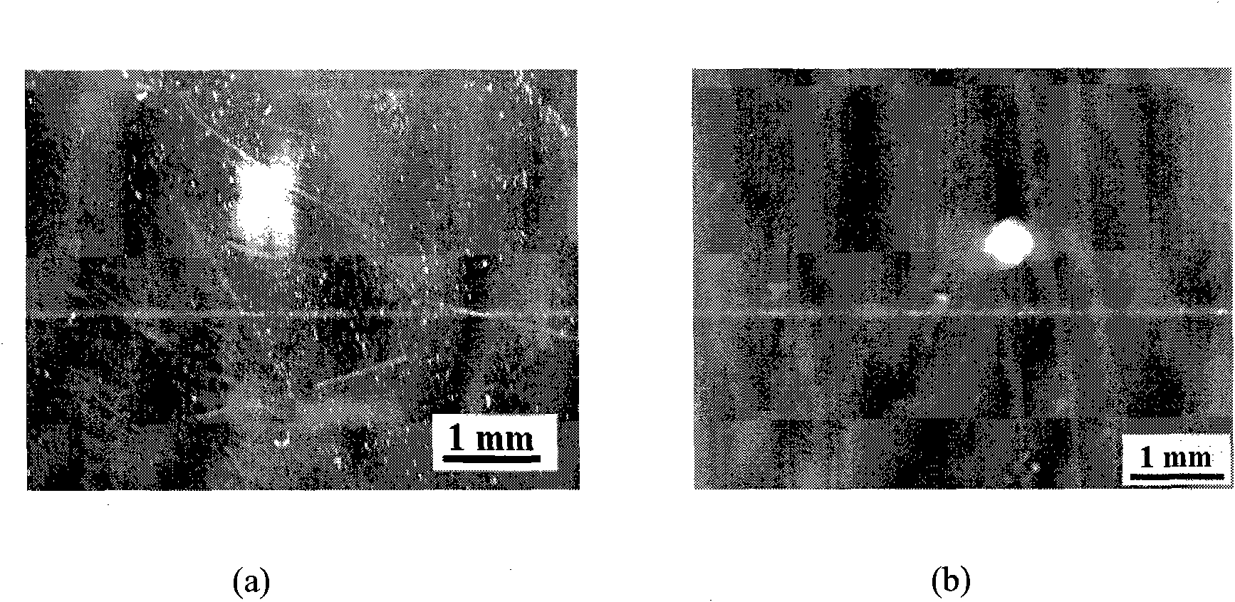 Method and device for detecting impurities and defects of tempered glass curtain wall