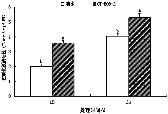 Phyllostachys edulis endophytic Enterobacter aerogenes with phosphorus-dissolving, potassium-dissolving and nitrogen-fixation effects and application thereof