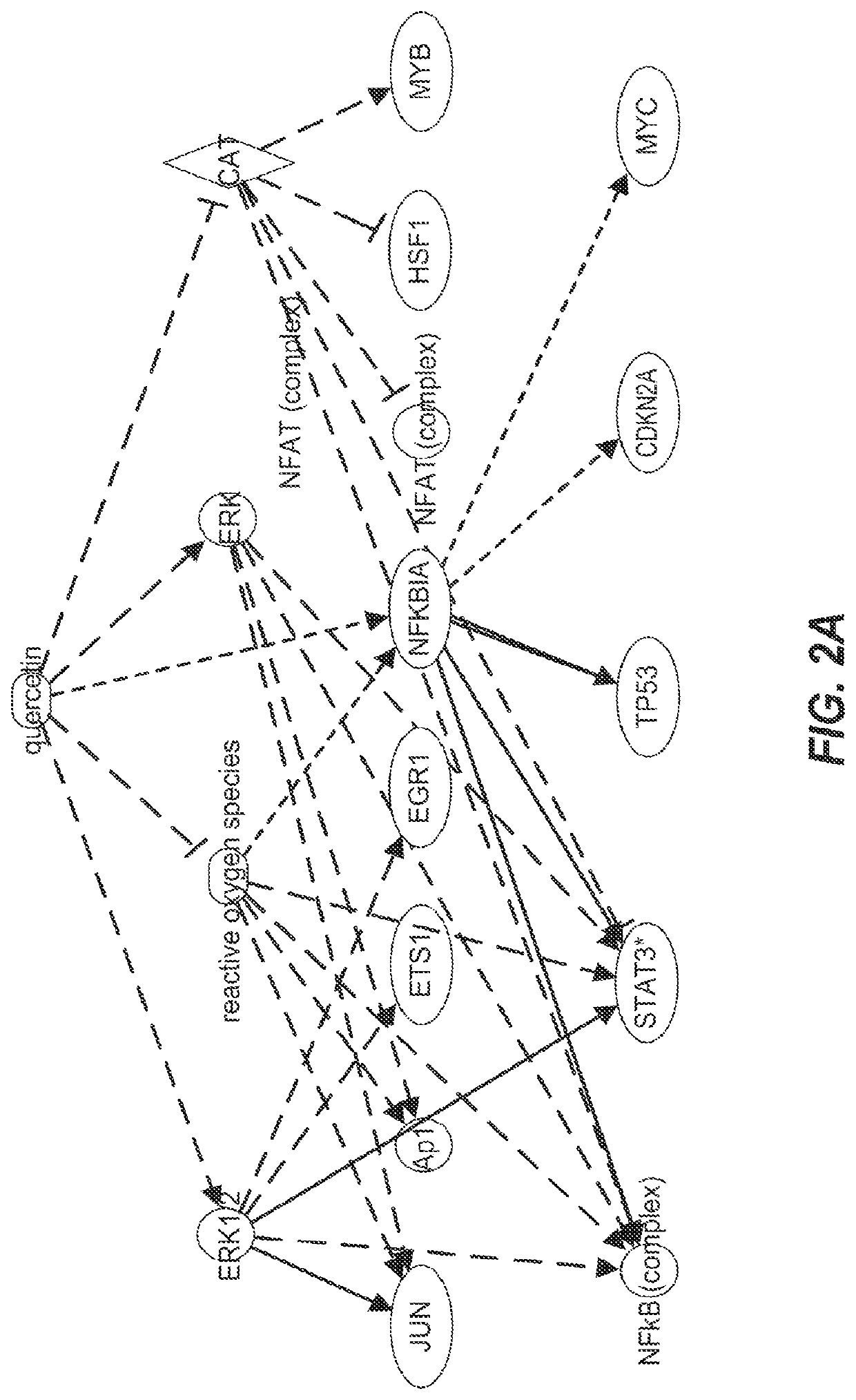 Killing senescent cells and treating senescence-associated conditions using a src inhibitor and a flavonoid