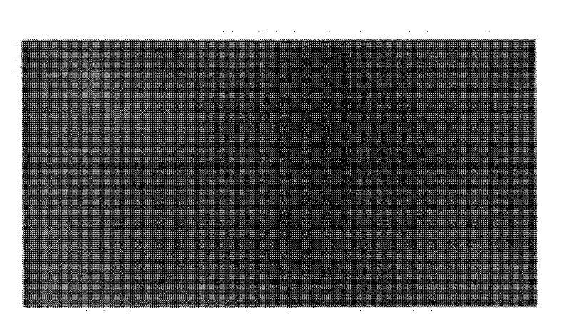 Laminate optical body, optical film, liquid crystal display device using said optical film, and method for manufacturing laminate optical body