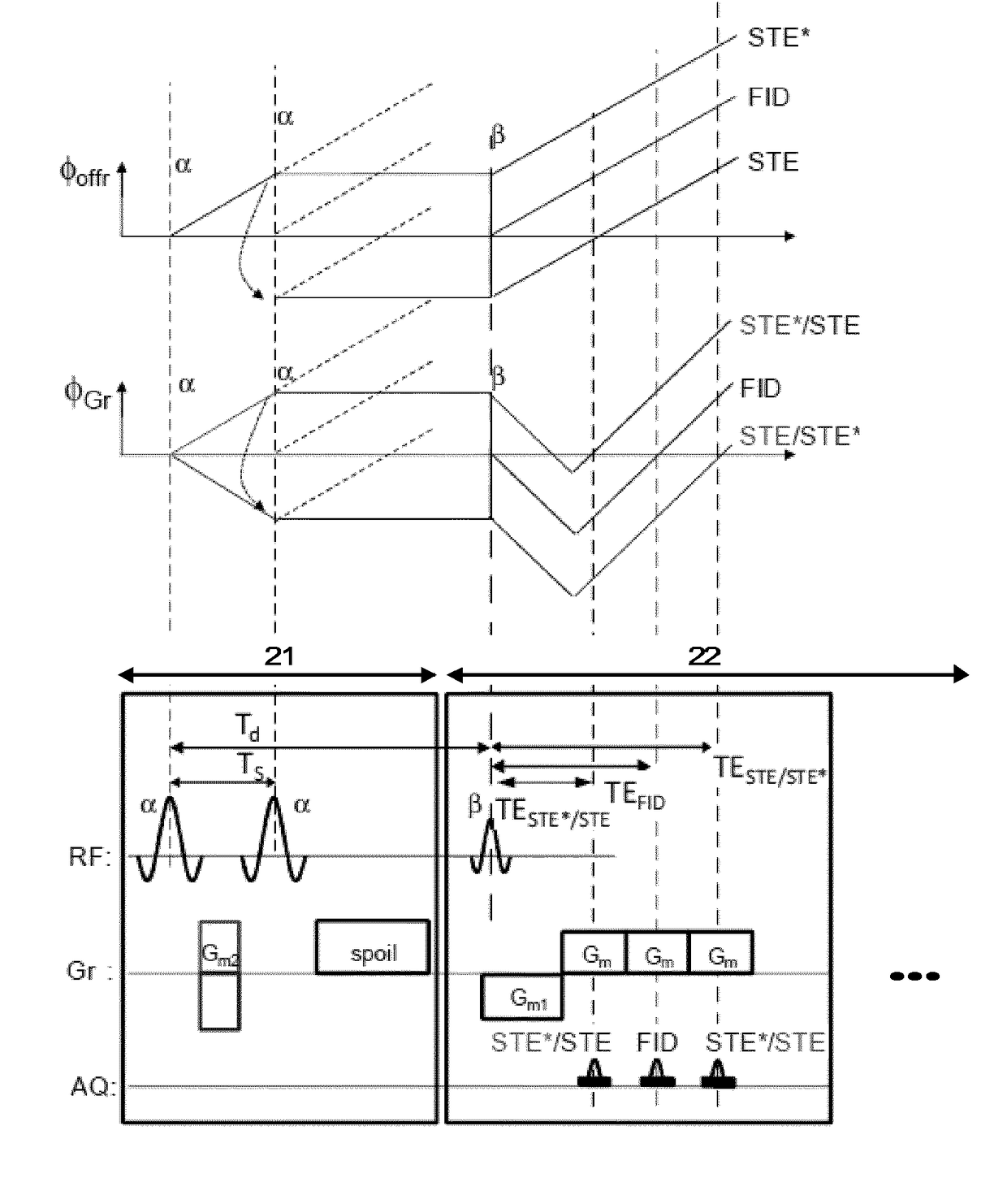 Parallel mr imaging with RF coil sensitivity mapping