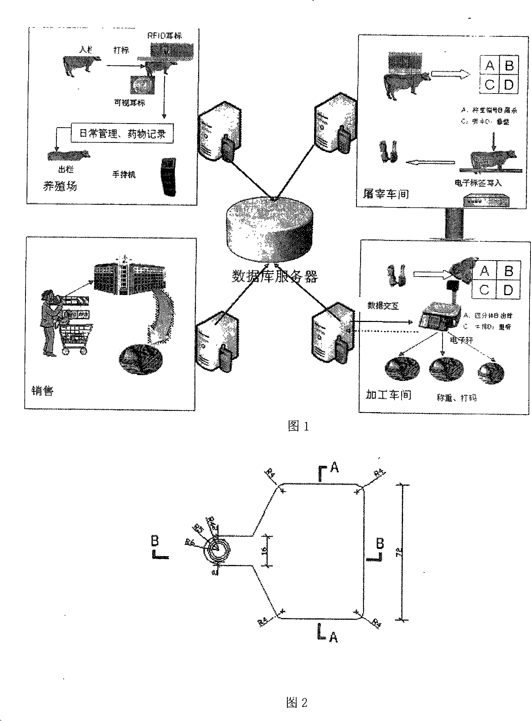 Method and system for whole course tracing and retroacting beef product quality safety