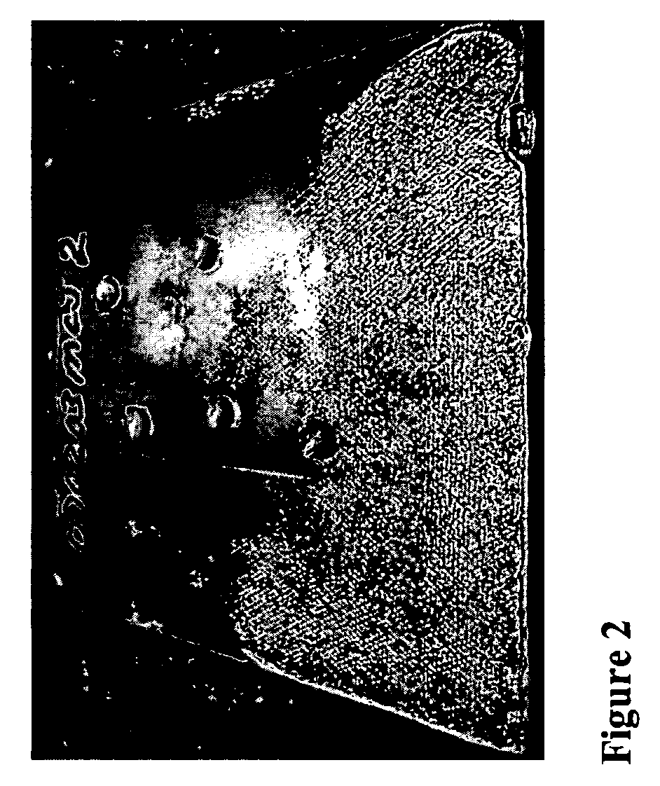 Metal-ceramic materials