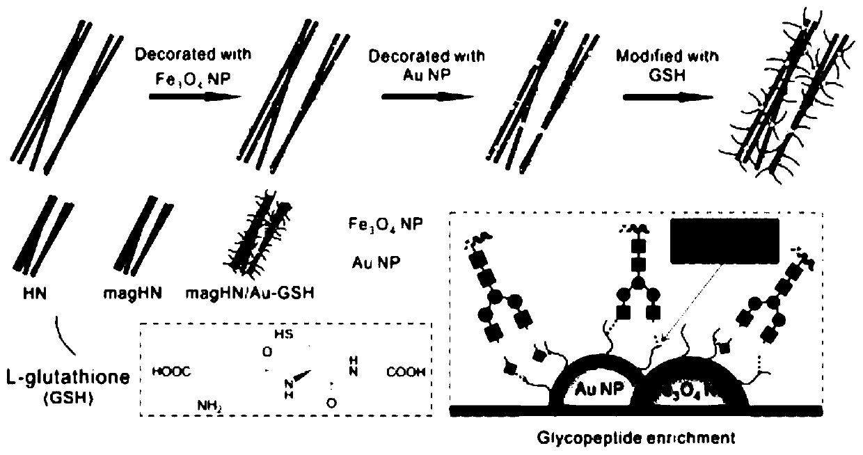 Magnetic nanofiber-based zwitterionic hydrophilic material for selective capture and recognition of glycopeptides