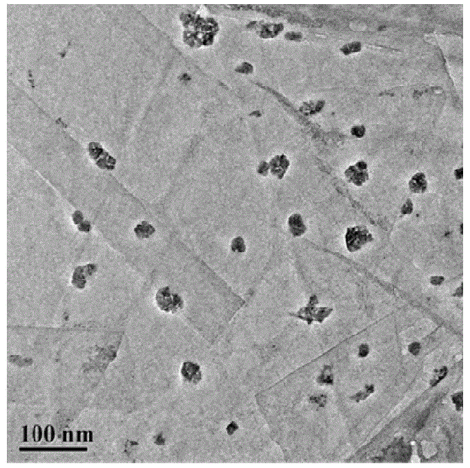 Preparation method of flexible binding agent-free self-support combination electrode