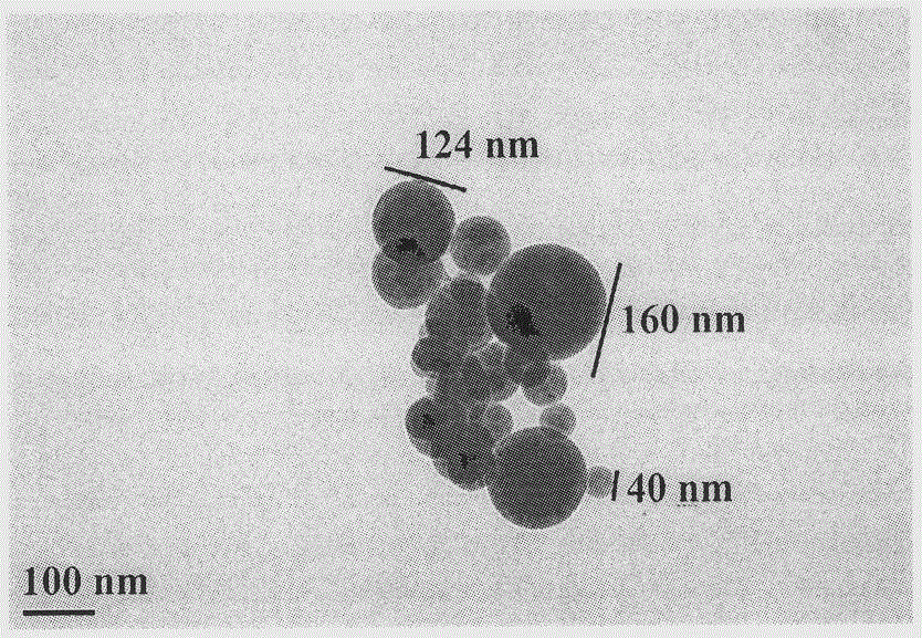 RGDS modified indoloquinolizine, preparation therefor, nanostructure, activity and application thereof