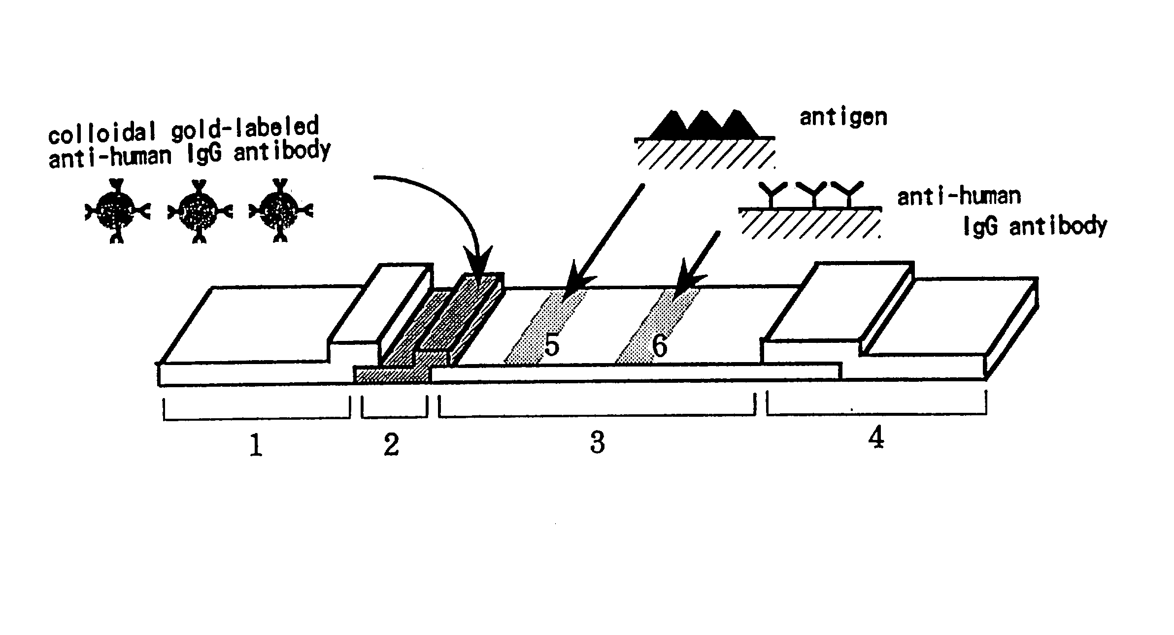 Method for assay of antibodies and antibody assay device