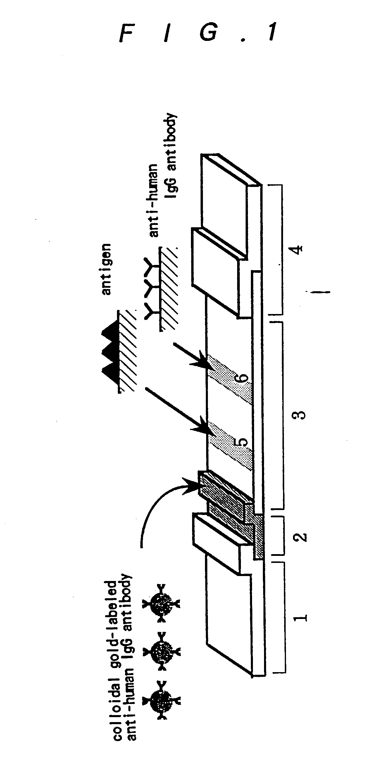 Method for assay of antibodies and antibody assay device