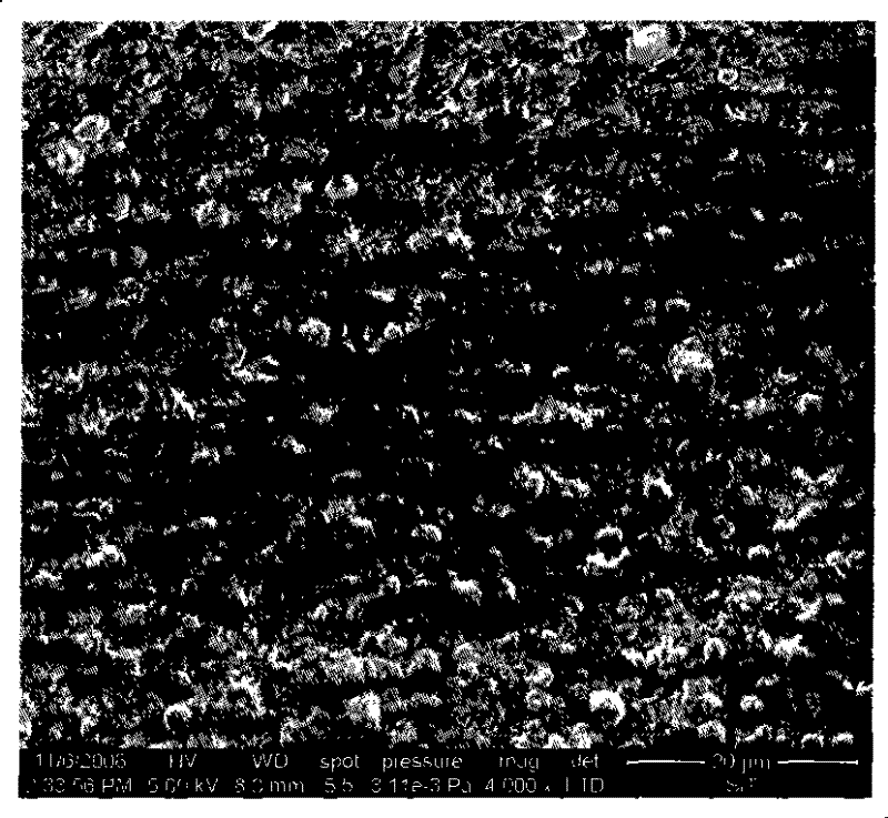 Nanometer lipid sun-prevention microparticle suspending liquid and preparation method thereof