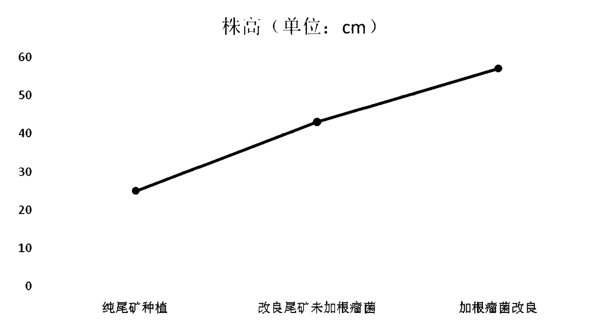 Treatment method for improving tailing soil substrate