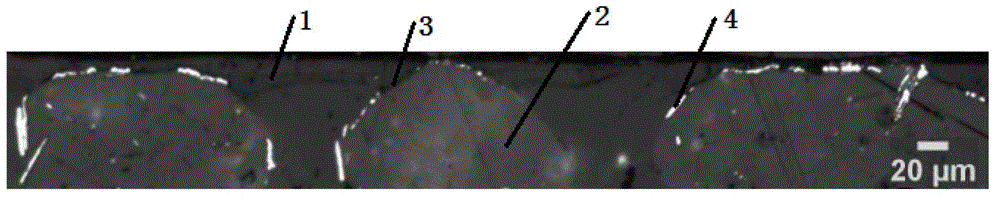 Metal powder coating for enhancing flash effect and preparation method thereof