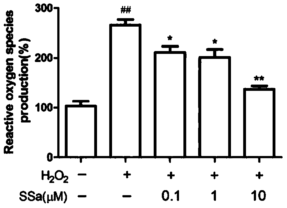 Application of saikoside a in prevention and treatment of osteoporosis