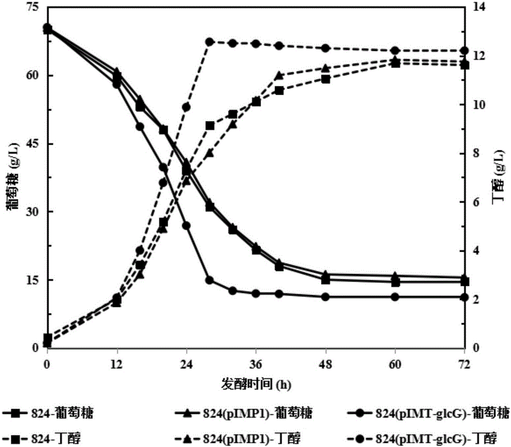 Recombinant clostridium for efficiently producing butanol, and construction method and application of recombinant clostridium