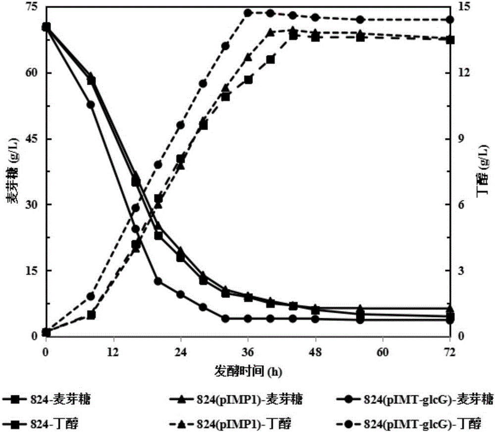 Recombinant clostridium for efficiently producing butanol, and construction method and application of recombinant clostridium