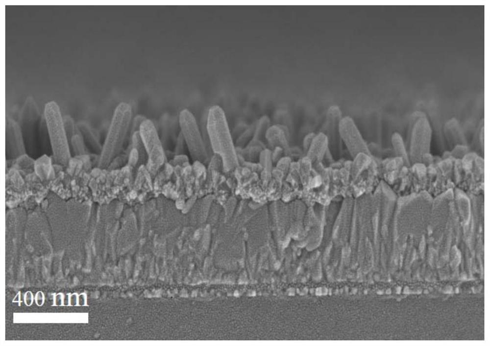 Preparation of array type TiO2/CdS composite electron transport layer and bulk heterojunction solar cell application of array type TiO2/CdS composite electron transport layer