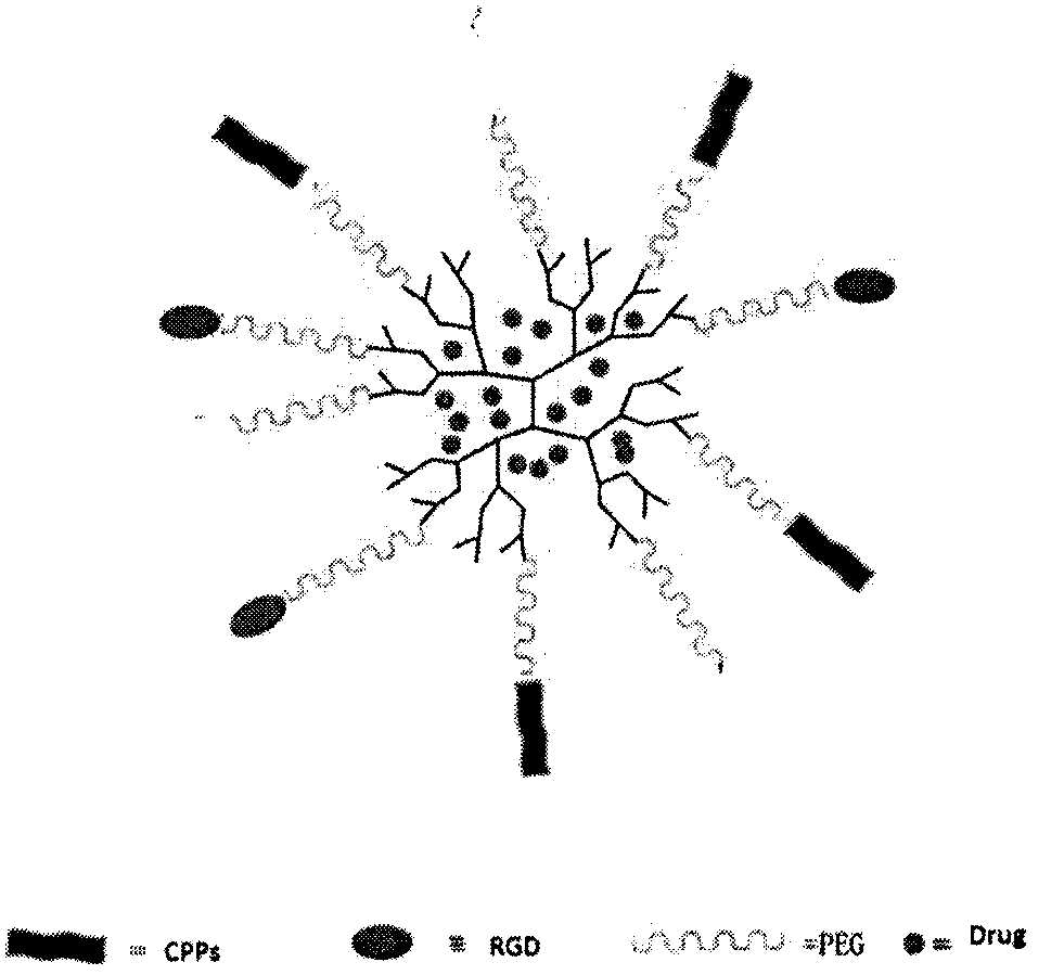 Drug delivery system targeting posterior segment of eye, formulation and preparation method thereof