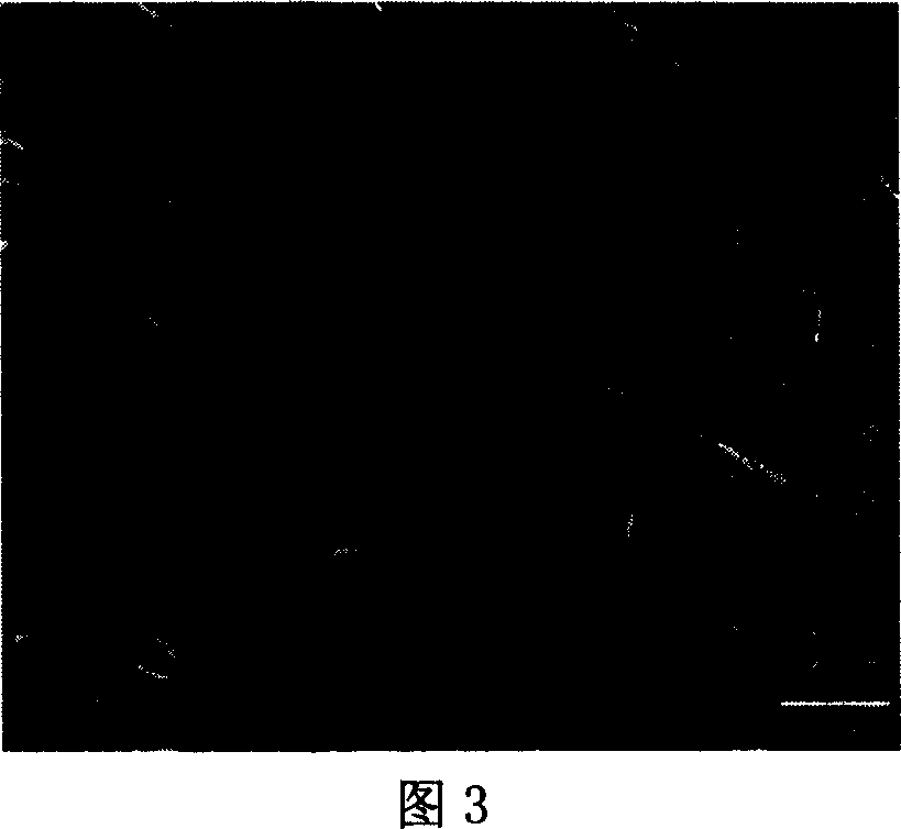 Potassium hexatitanate whisker and its prepn process