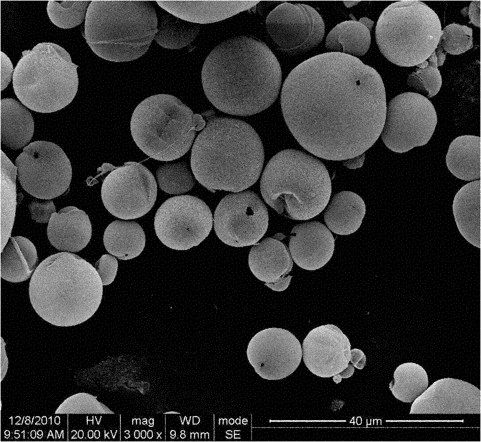 Polymer hollow nano microspheres and preparation method thereof