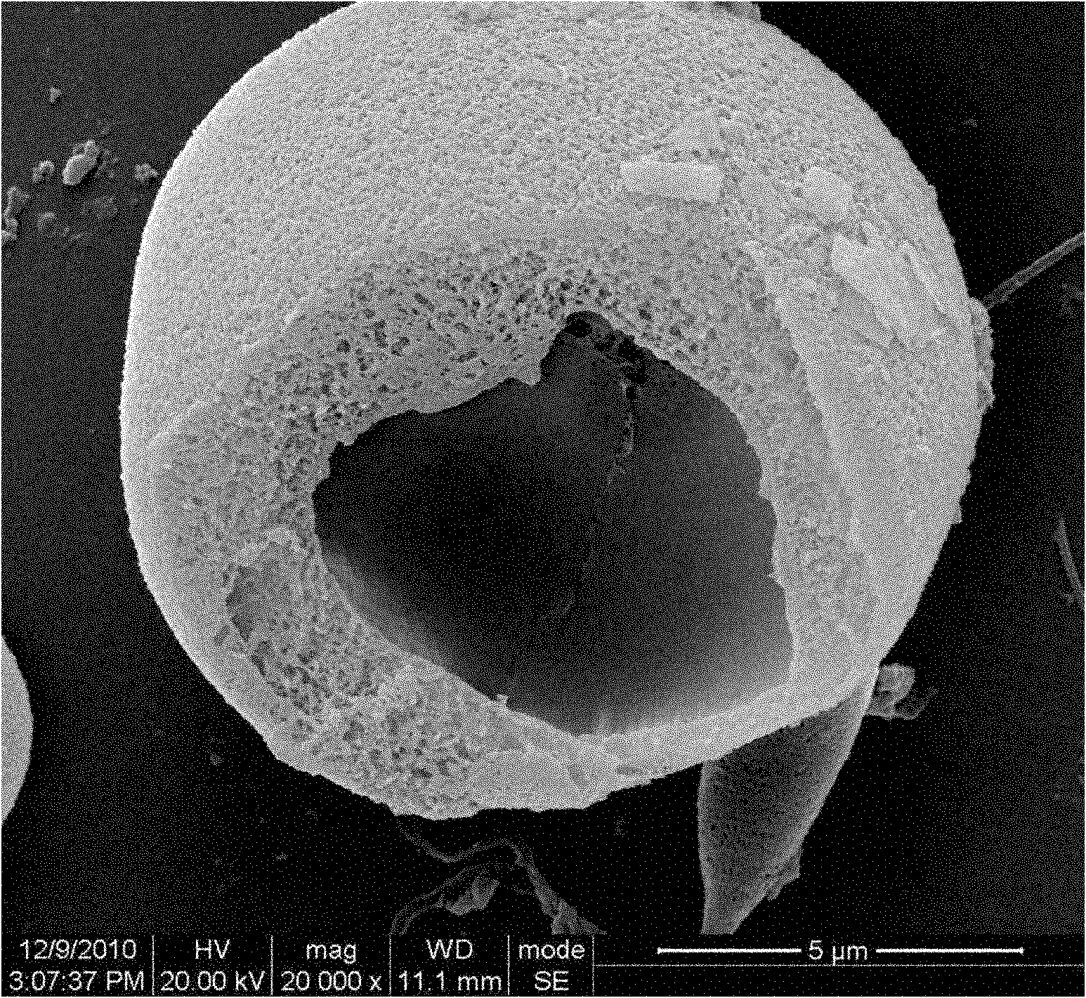 Polymer hollow nano microspheres and preparation method thereof