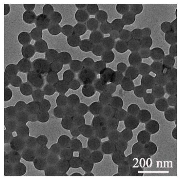 A kind of preparation method of the AIE polymer nanoparticle of carboxyl group and polypeptide modification