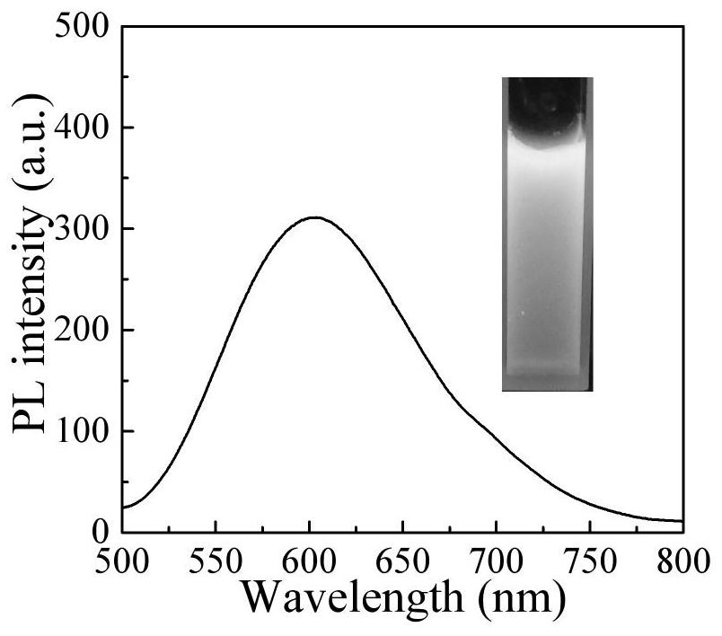 A kind of preparation method of the AIE polymer nanoparticle of carboxyl group and polypeptide modification