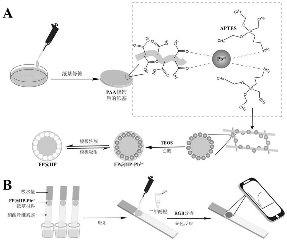 Paper-based test paper for rapidly detecting lead in tea leaves by applying ion imprinting color development