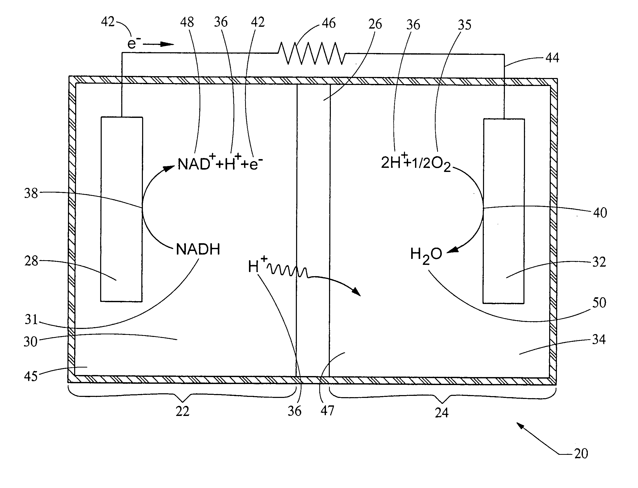 Bio-battery