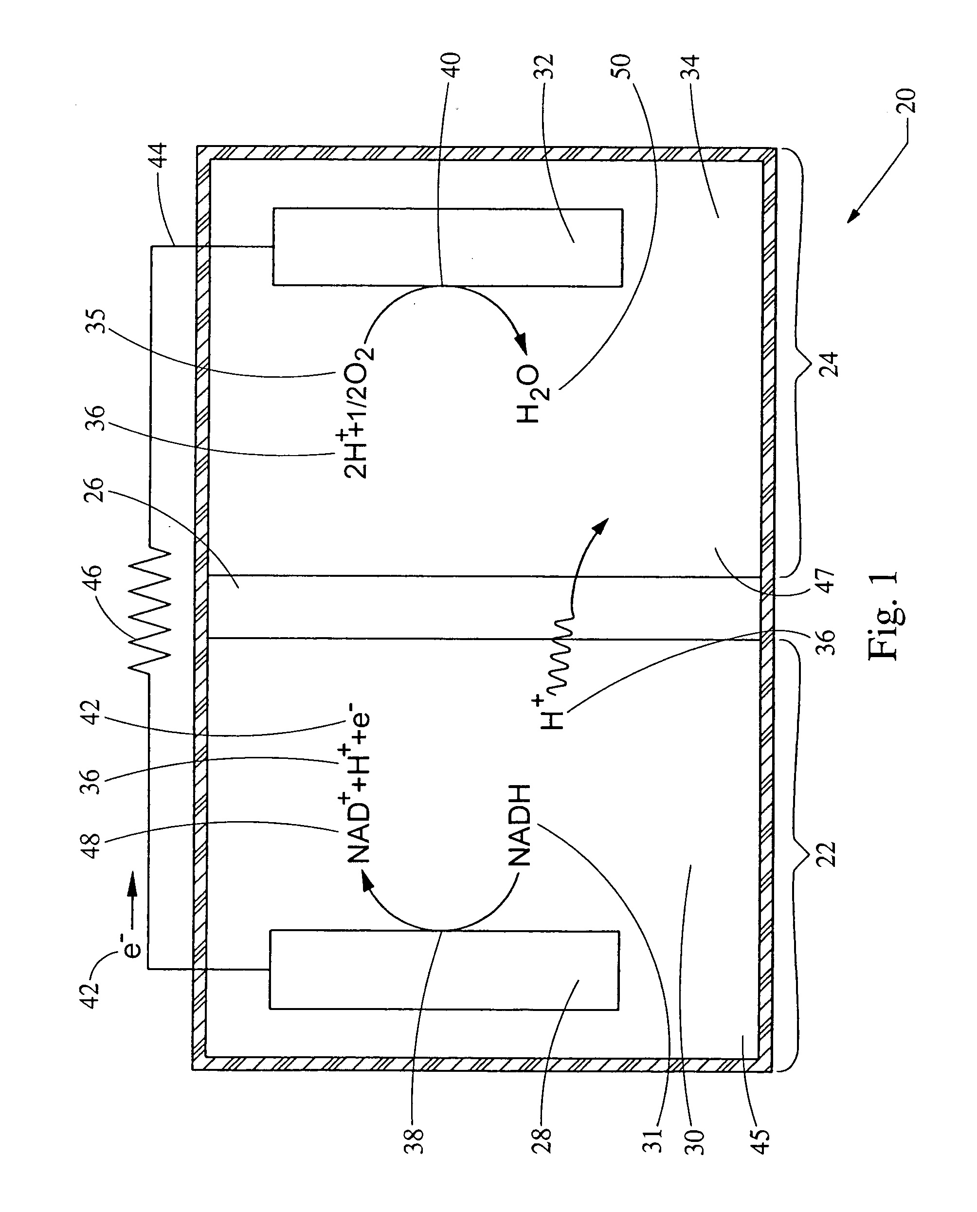 Bio-battery