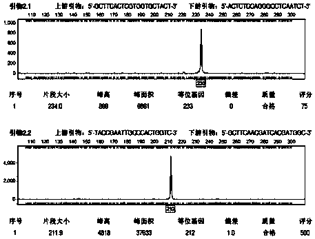 DNA bar code used for screening high-quality Tibet brown mushrooms, primer and application of DNA bar code used for screening high-quality Tibet brown mushrooms and primer