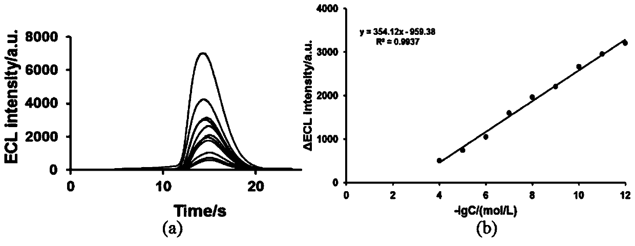 Electrochemiluminescent reagent prepared from a macrocyclic compound and its application